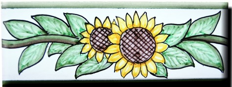 Demosaica Border Artesan Collection